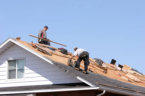 Roof Insulation